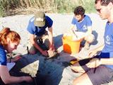 Stagiair Helicon wint prijs met film over schildpadbescherming op Kreta